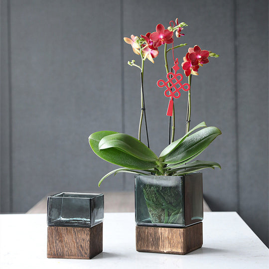 Wood Color Tansparent Glass Vase