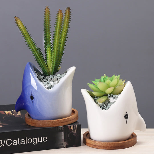 Ceramic Flower Pots