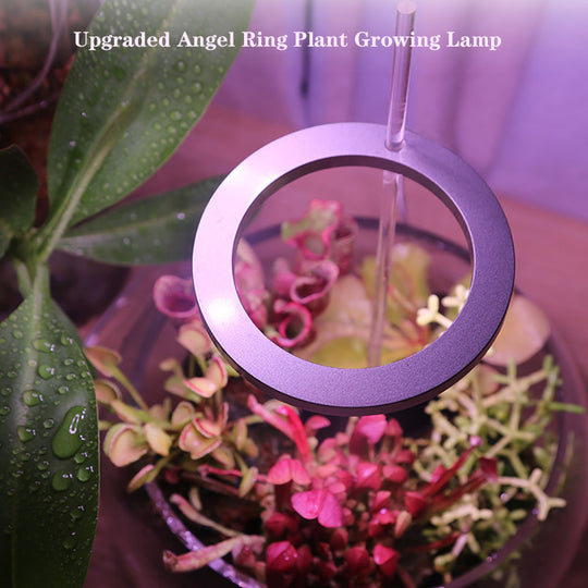 LED Grow Light Full Spectrum