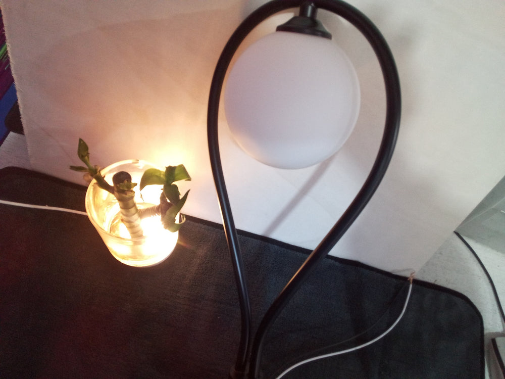 Nordic Bedroom Led Wall Lamp